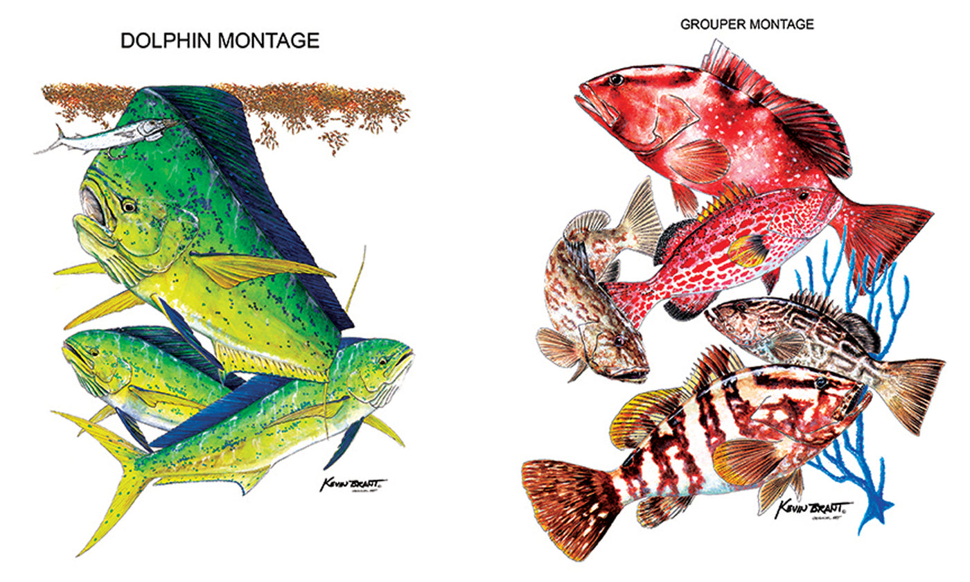 TANILIT（タニリット）、魚を干す、希少な額装用画集画 k_brant_dolphon_1400x.jpg?v=